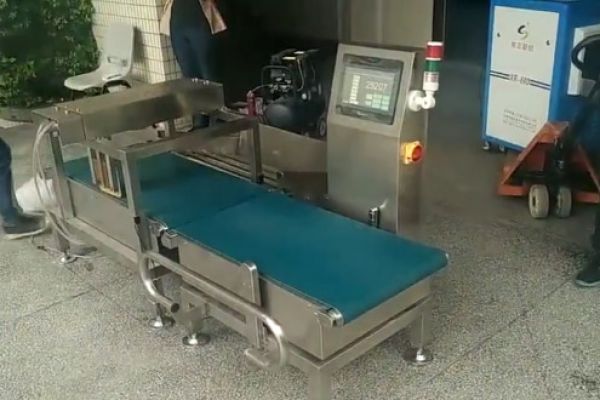 50KG皮帶式稱重機(jī)自動(dòng)稱重剔除測試